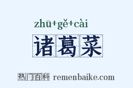 诸葛菜是什么意思的图片